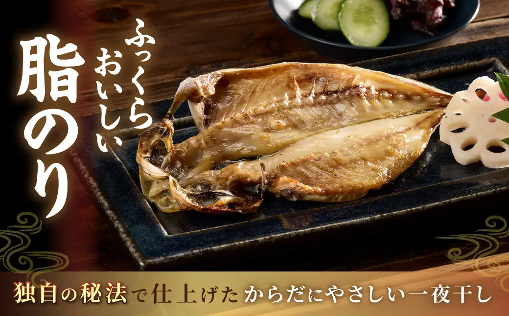 どんちっちあじ一夜干し10枚セット 魚介類 魚 干物 一夜干し あじ 鯵 セット 【136_1970】