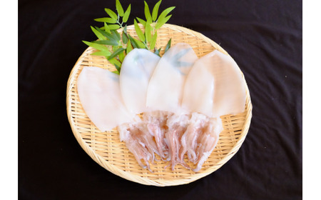【山陰浜田港・水揚げ】白いか一夜干し（4枚） 魚介類 魚貝類 干物 干もの 一夜干し お中元 お歳暮 白いか 特産品 つまみ 加工品 【136_1996】