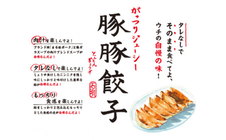 浜田生まれ浜田育ち がっつりジューシー「豚豚餃子」（6パック入り） 惣菜 餃子 ギョーザ 冷凍 簡単調理 焼くだけ おかず おつまみ 【016_1938】
