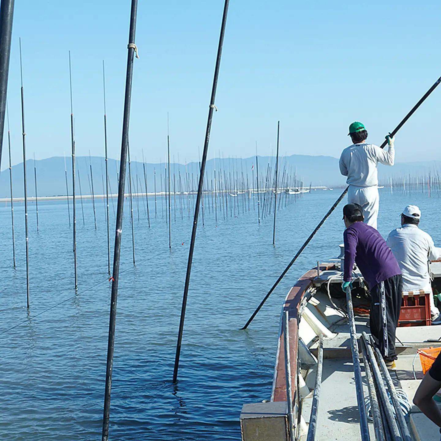 焼き海苔 初摘み佐賀のり セットＢ 焼き海苔：B150-055