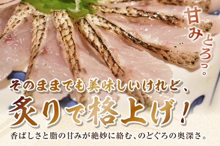 【脂乗り抜群！】のど黒炙り刺し 魚介類 魚貝類 のどぐろ 炙り刺し 刺身 おかず おつまみ 醤油付き 【087_1743】