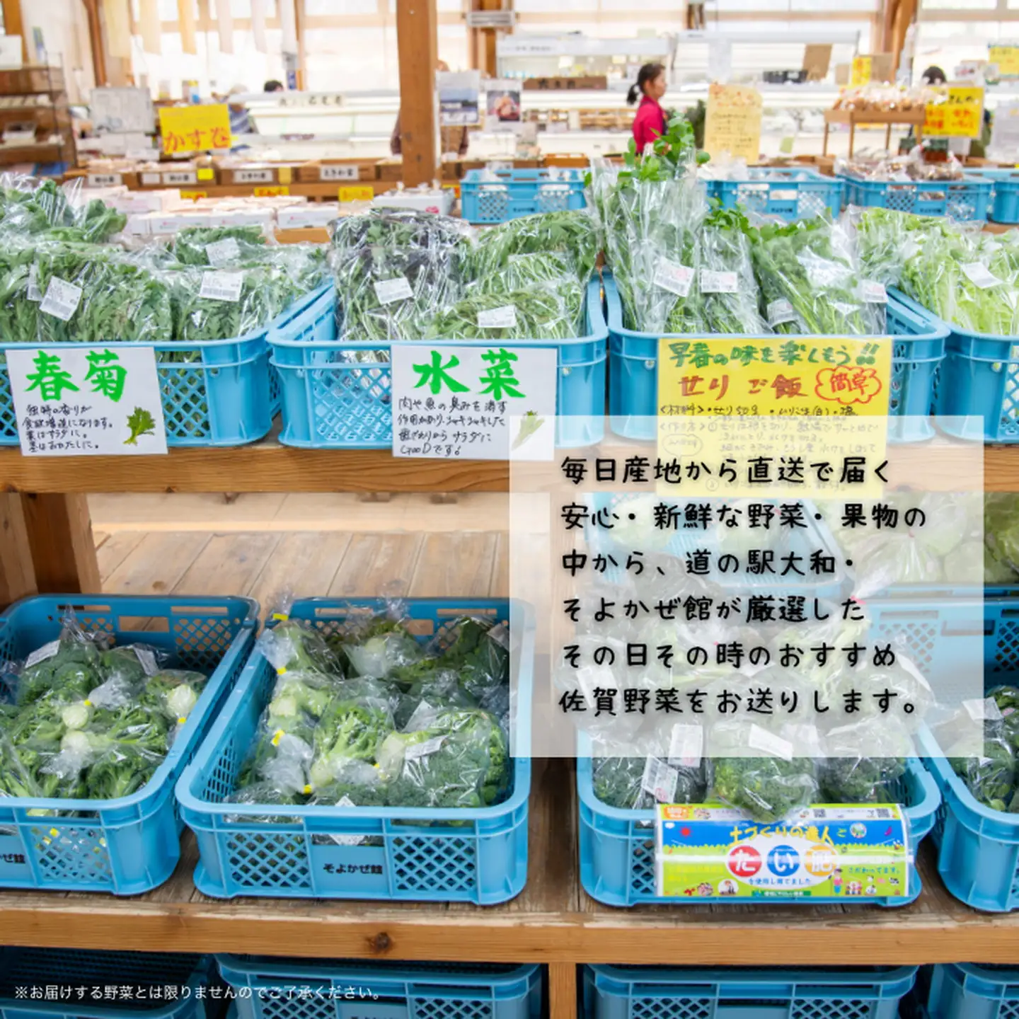 旬の野菜と果物セット：B165-002