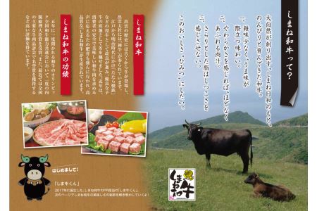 神話の国島根が誇る逸品 しまね和牛 ローススライス 肉 牛肉 和牛 国産牛 ロース 黒毛和牛 お祝い 父の日 【057_1310】