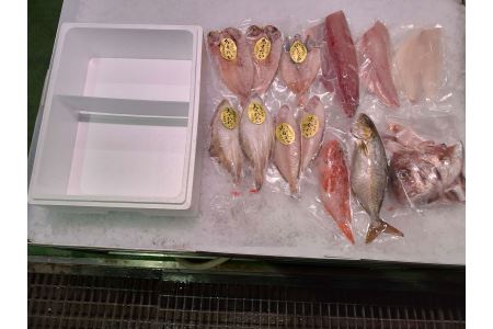 鮮魚と干魚のコラボセット 年6回定期便（偶数月配送） 定期便 6回 鮮魚詰め合わせ 鮮魚 干物 ひもの 冷蔵 お任せ セット 詰め合わせ 下処理済 一夜干し 【096_1697】