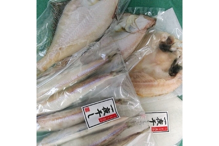 創業令和3年！何十年ぶりに浜田で鮮魚店誕生◎気合の入ったこだわり干物◎ 魚介 干物 ひもの 一夜干し おかず おつまみ 詰め合わせ セット 厳選 ギフト こだわり ふるさと納税 干物 【171_1638】