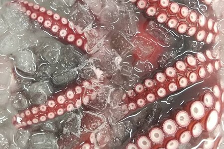 創業令和3年！何十年ぶりに浜田で鮮魚店誕生◎気合の入った刺身魚3種セット◎ 鮮魚詰め合わせ 鮮魚 お任せ セット 刺身 ブロック 冷凍 厳選 産地直送 お取り寄せ 真空 海鮮 魚介類 【171_1639】