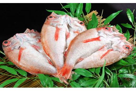 香ばしさと滴る脂に舌鼓！ のどぐろ干物3枚セット 魚介類 魚貝類 魚 のどぐろ 干物 干もの 一夜干し おかず つまみ 【020_1692】