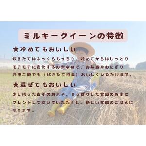 【令和7年産】栃木市岩舟町産ミルキークイーン25kg【精米】　米　ミルキー　農家直送　産地直送
