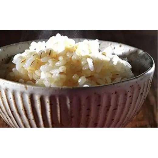 もち麦 精麦 大人買い(大) もちむぎ 雑穀