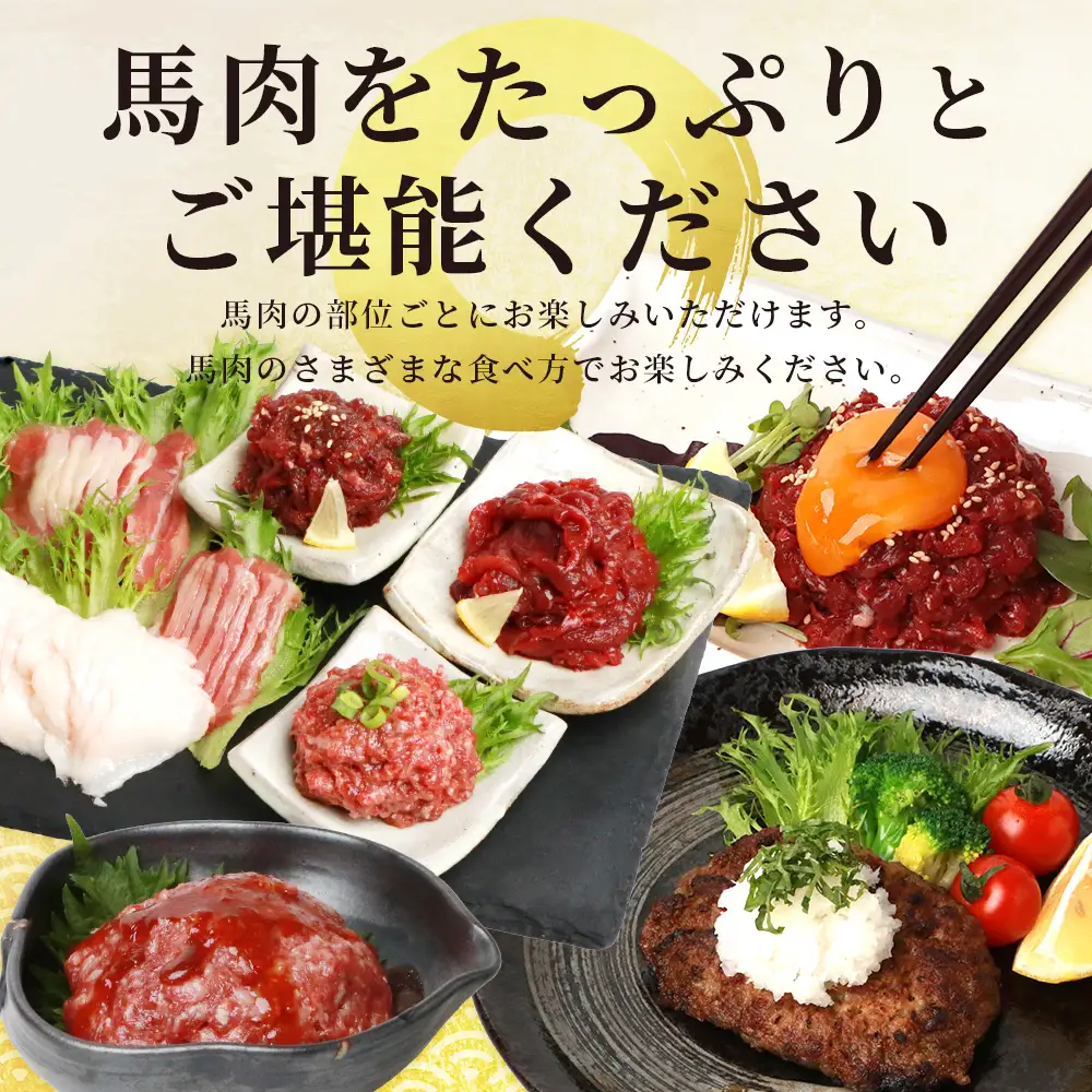 馬肉バラエティー6種セット 約1.02kg (赤身/コウネ/ネギトロ/ユッケ/フタエゴ/ハンバーグ/タレ付き)031-0491