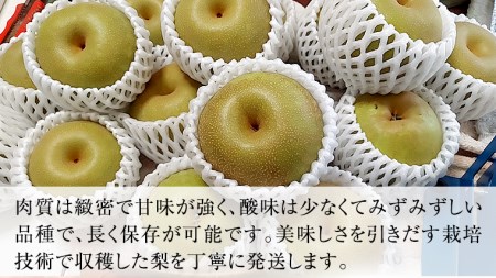 にっこり梨 3kg 【10月発送開始】