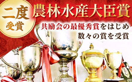 【全3回定期便】【隔月発送】佐賀牛 プレミアム霜降り定期 [HBH118] 佐賀牛