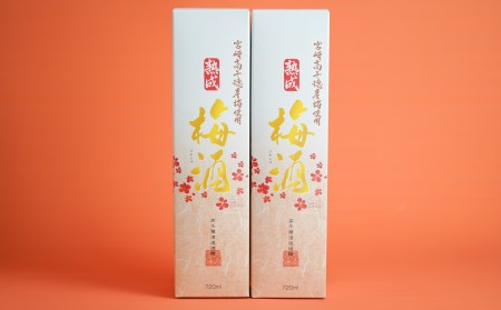 2020年春全国酒類コンクール リキュール部門第1位　熟成梅酒720ml　2本セット　宮崎県高千穂産梅使用  宮崎県高千穂産梅使用 お酒 アルコール 酒 梅 熟成梅酒 リキュール 晩酌 飲み会 宅飲み 家飲み ストレート 水割り 炭酸割り お湯割り お取り寄せ 国産 _Tk023-013