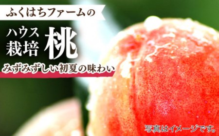 【2026年5月下旬-発送】桃 特別栽培 小玉 ハウスもも（Mサイズ：10パック） / 桃 もも モモ フルーツ 果物 旬 / 南島原市 / ふくはちファーム/福島農園 [SBS008]