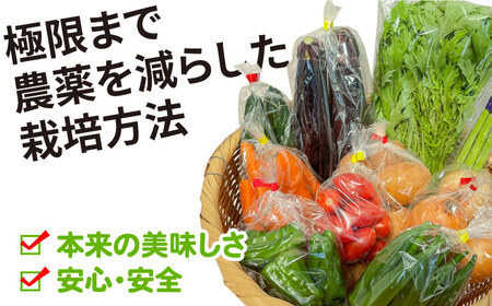 【6回定期便】直売所より発送！季節の野菜セット 7〜10品目 / 野菜定期便 / ながさき南部生産組合 [SBW004]