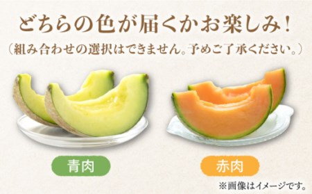 【2026年11月中旬-発送】アールス メロン (2玉) / メロン めろん メロン めろん メロン 青肉 果物 フルーツ / 南島原市 / JA島原雲仙東南部基幹センター [SAC004]