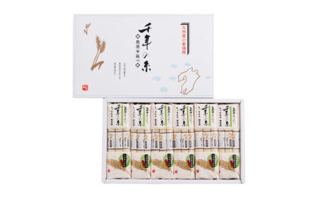 【九州産 小麦使用】島原 手延べ そうめん 千年の糸 / 南島原市 / 本多製麺 [SAV004]