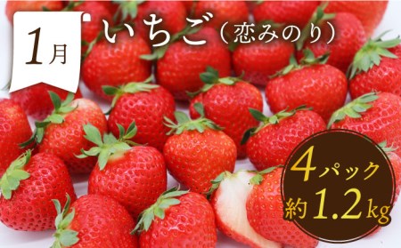 【6回定期便 奇数月コース】フルーツ 定期便 [SDZ021]