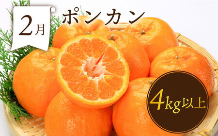 【6回】フルーツ定期便 旬のフルーツ [SDZ022]
