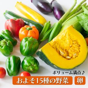 野菜 定期便 卵付き 旬の野菜セット 4人用 【6回】 益子町 AA007