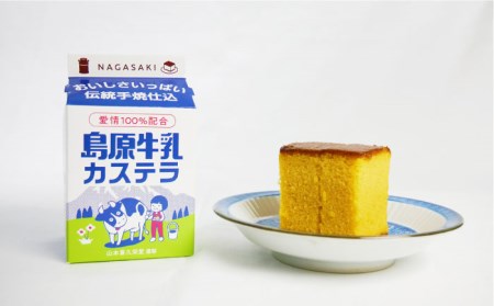  【2024年11月上旬-発送】南島原ふるさとの味 満足セット 全8品 / 米 そうめん 素麺 みそ 納豆みそ 味噌 野菜 麦みそ カステラ 醤油 あごだし / 南島原市 / ミナサポ [SCW008]