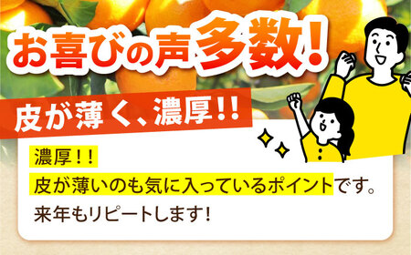 【先行予約】温州みかん 約10kg [SCQ002] みかん