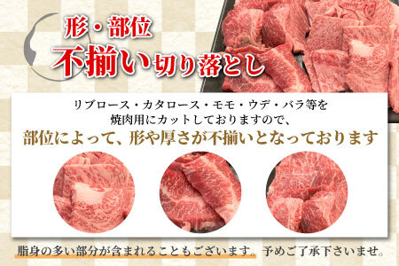 根羽こだわり和牛 焼肉切り落とし 1.2kg ( 600g×2 ) リブロース カタロース 焼肉用 切り落とし
