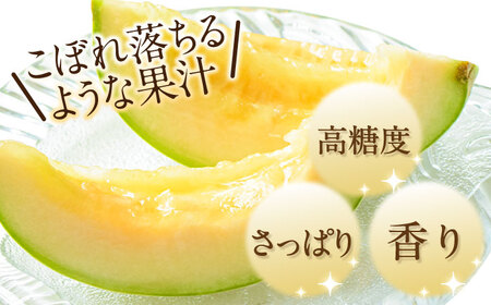 【2027年4月下旬-発送】プリンスメロン 3箱 セット [SCV007] メロン