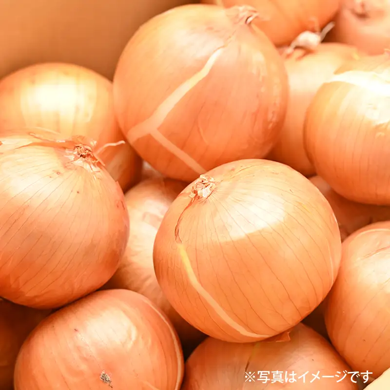 射手矢さんちの玉ねぎスープ 10食×6箱