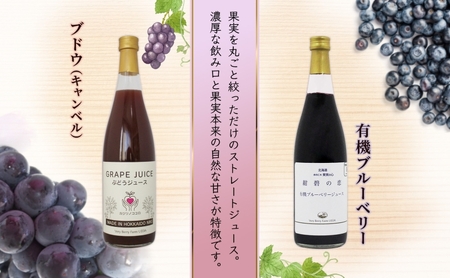 ブドウジュース 有機ブルーベリー ジュース 飲み比べ 各1本 計2本 セット キャンベル ぶどう 紺碧の恋 果汁 100％ お取り寄せ ギフト 北海道 仁木町