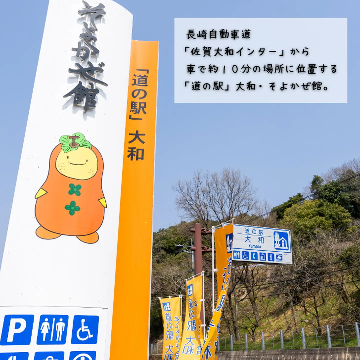 とろける！佐賀牛厚切りロースステーキ：B435-001