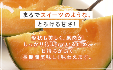 【2026年6月～発送】富良野 赤肉 メロン 2玉入 計4kg前後 大玉 (相馬農園) メロン フルーツ 果物 北海道