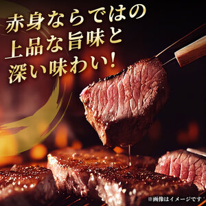 登米市産 仙台牛 ランプステーキ 500g(約170g×3枚) 肉 お肉 にく 牛肉 ランプ 赤身 ステーキ 国産 宮城県産 バーベキュー 冷凍【株式会社佐利】tm235