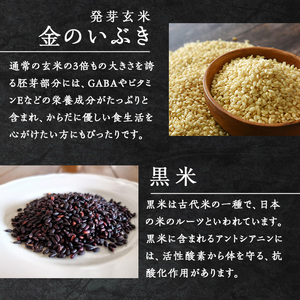 発芽玄米パックご飯3種セット 150g×16パック 金のいぶき つや姫 ササニシキ 発芽玄米 黒米 発芽玄米 レンジ 有機栽培 パックライス ご飯 米 レンチン 【有機農園ファーミン株式会社】 tm114
