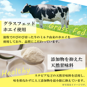 杜と大地のプロテイン 2種セット (2種×各500g) ＜仙台ずんだ風味・黒蜜きなこ風味＞ トレーニング 筋トレ タンパク質 常温 水分補給 ドリンク ジム 国内製造 加工食品 【UGOQ株式会社】 tm333