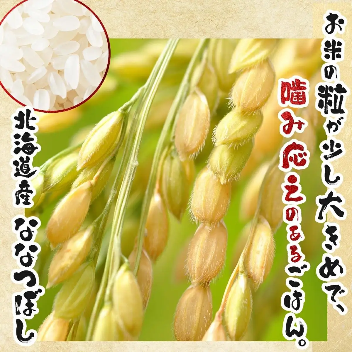 《令和 7 年産》お米 ななつぼし 5kg｜『100%自家生 産精米』善生さんの自慢の米 ※一括発送 北海道 岩見沢市【06119】