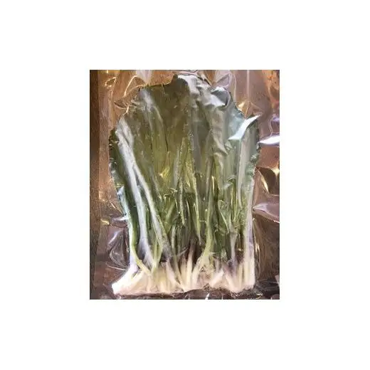 北海道岩見沢市産 令和8年度産 行者にんにく葉(冷凍) 1kg【09118】[a107-033]