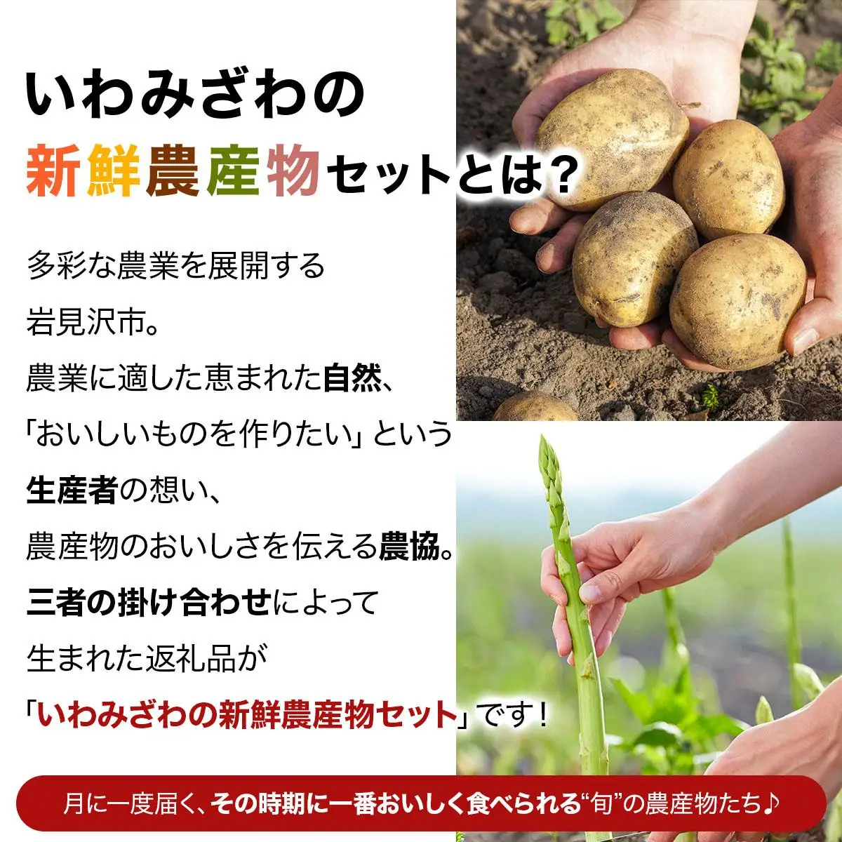 ＜先行予約＞いわみざわの新鮮農産物セット(5or6月～11月 全6回)※定期便【11106】