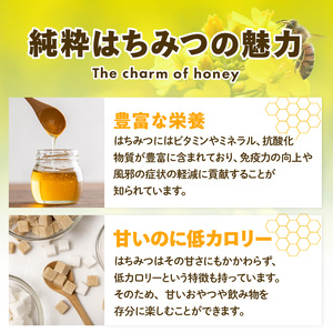国産はちみつと巣蜜_国産はちみつ 180g × 2個 計 360g 巣蜜 セット 瓶 はちみつ 国産 純粋はちみつ 天然のはちみつ 栄養 豊富 低カロリー トースト ホットケーキ ヨーグルト シリアル パン クラッカー にたばる養蜂場 食品 常温 おすすめ お取り寄せ 福岡県 久留米市 送料無料 〔Ca028〕