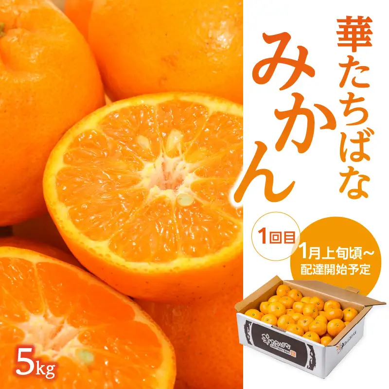 福岡冬の果物定期便【全3回】冬のお届け便　JAふくおか八女からお届け！！ みかん ミカン キウイ あまおう いちご 苺 イチゴ フルーツ 果物 くだもの 人気 旬 福岡県産 アフター補償 数量限定 期間限定 産地直送 全3回 定期便 福岡県 八女市 002-T001