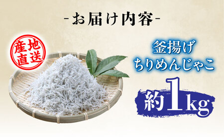 【産地直送】新鮮 釜揚げ ちりめんじゃこ 約1kg 【土居海産】 [ATBT001] しらす