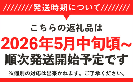 メロン 茨城県産 タカミメロン 約4.5kg 3～6個