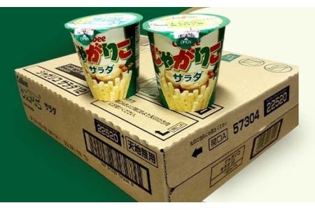 じゃがりこ サラダ味 1箱【 カルビー 下妻工場産 】 | 茨城県下妻市