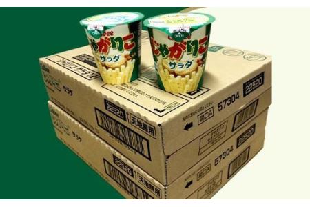 じゃがりこ サラダ味 2箱【 カルビー 下妻工場産 】