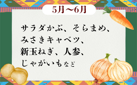 野菜 無農薬 農園自慢の情熱野菜セット 9品 【 12ヶ月 連続 お届け 】 