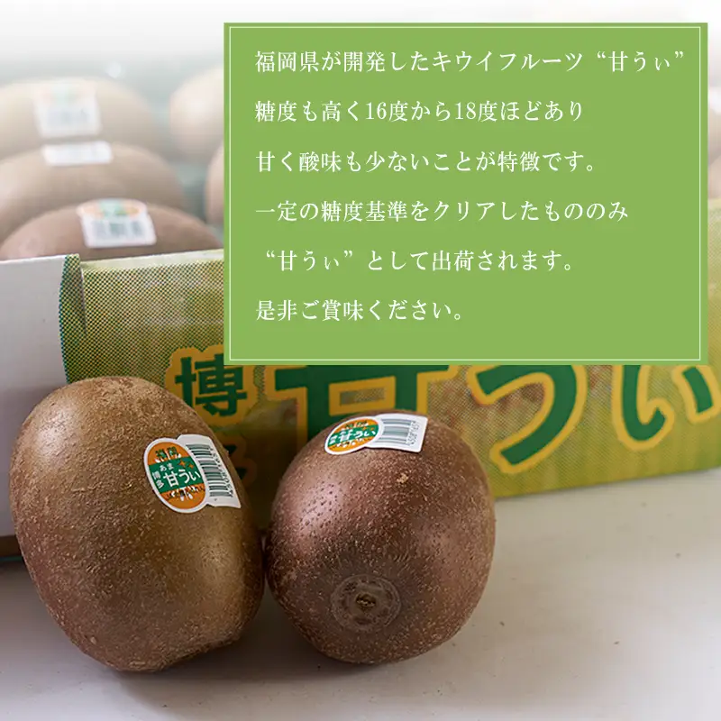福岡限定!ブランドキウイ「甘うぃ(あまうぃ)」約1.5kg箱(12-15玉) 4A20