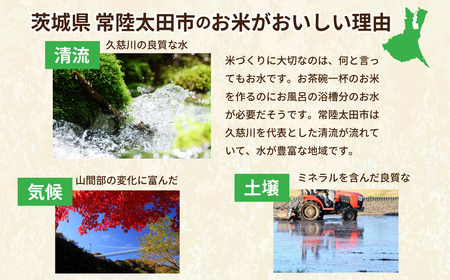 【米】令和7年産 コシヒカリ（10kg） 米