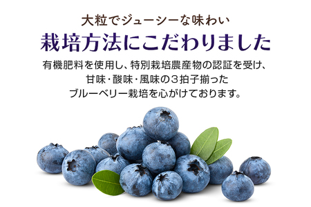 【数量限定】朝採り生ブルーベリー 800g（100g×8） 9-H 【6月中旬～7月以降発送予定】