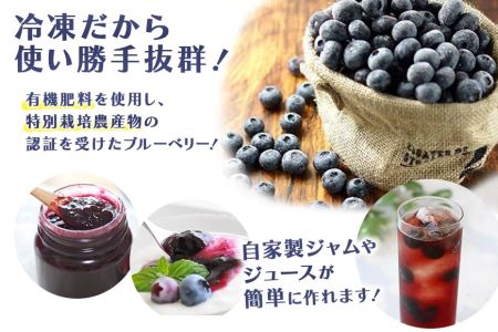 【数量限定】冷凍ブルーベリー 1kg 【6月下旬から順次発送予定】 9-I