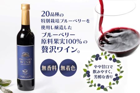 小美玉ブルーベリーワイン1本 ブルーベリー ワイン ブルーベリーワイン フルーツ 果物 ビタミンE アントシアニン 栄養 目にいい 健康 美容 ギフト 贈り物 茨城県産 プレゼント お酒 美味しい お祝い 9-J